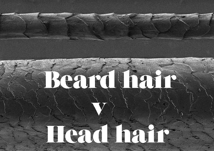 microscope image of beard hair next to head hair