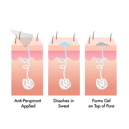 diagram showing how anti-perspirant works