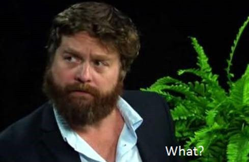 Answers to Annoying Beard Questions