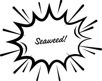 seaweed fragrance note